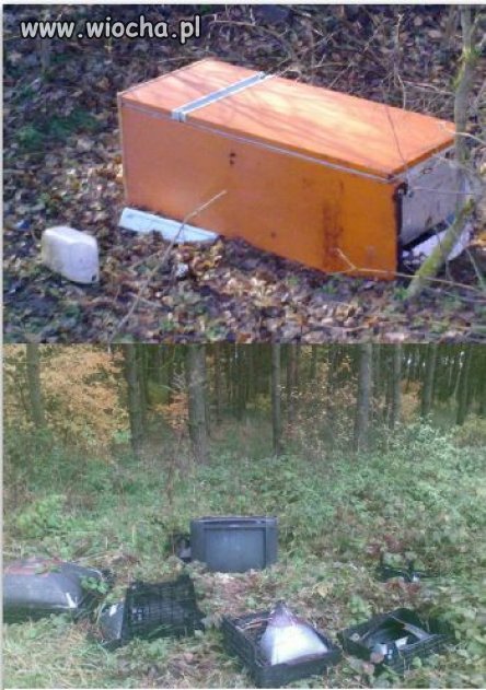 Czy Matka natura ma lodówke ?? Ma!