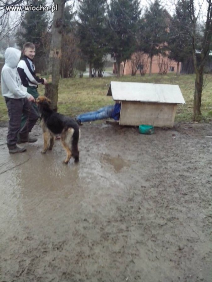 Wjazd na chatę 