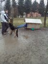 Wjazd na chatę 