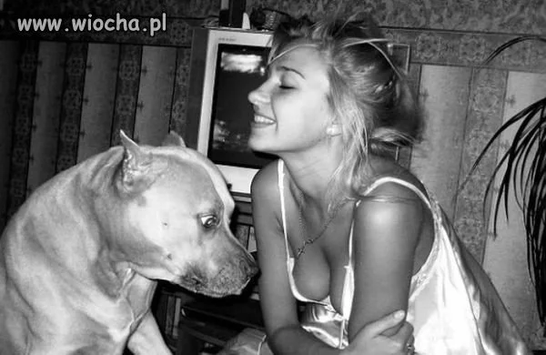 Pies na baby