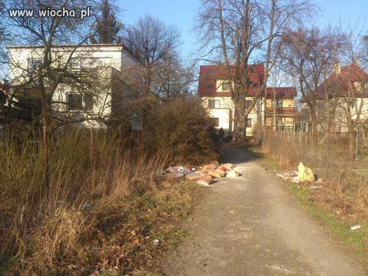 Wrocław - śmietnik przy ścieżce nad wał odrzański
