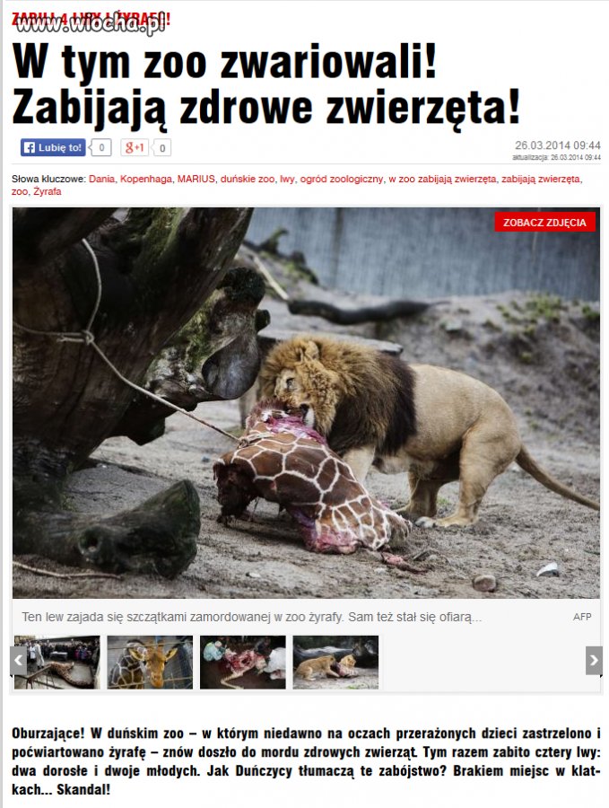 Ciąg dalszy horroru w duńskim zoo