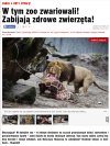 Ciąg dalszy horroru w duńskim zoo