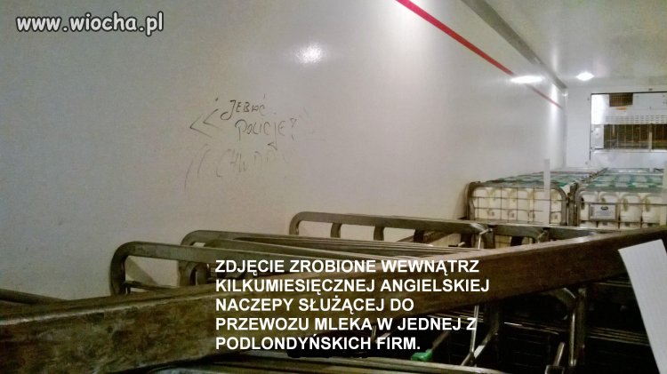 Twórczość naszych w Anglii