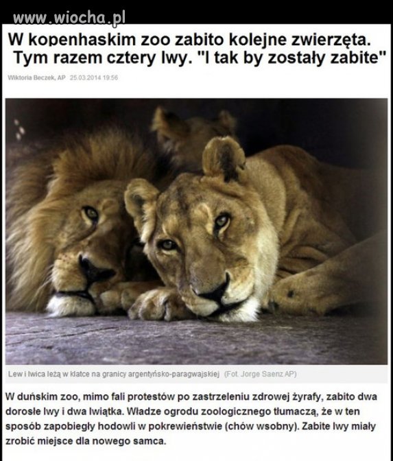 Po co oni to robią?!