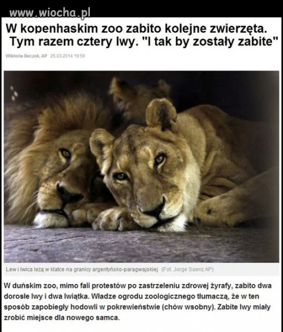 Po co oni to robią?!