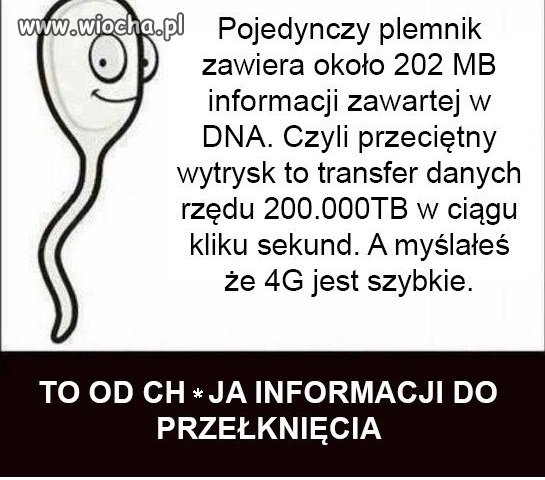 Trochę informatyki na wieczór