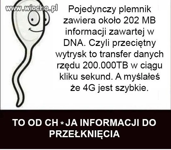 Trochę informatyki na wieczór