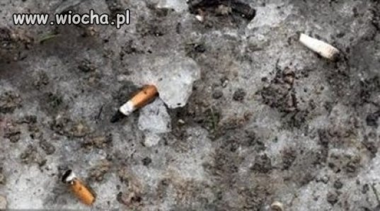 Stopniał śnieg