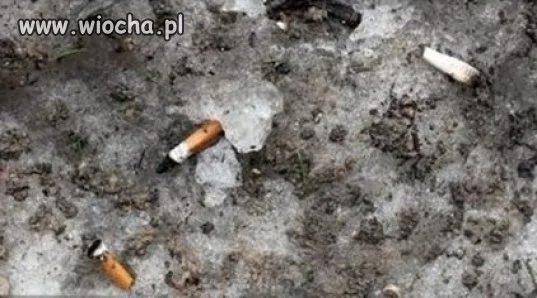 Stopniał śnieg
