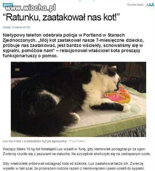 Psychopatyczny kot morderca.
