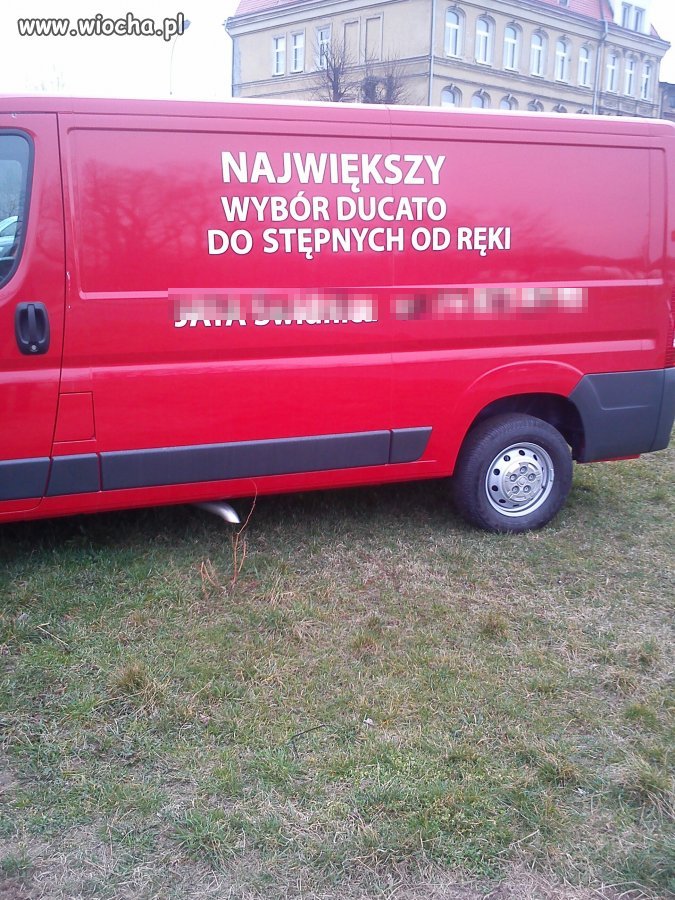 Opis niedo stępny