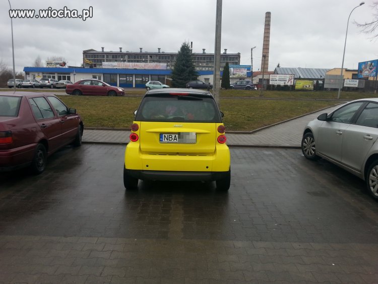 Z serii "mistrzowie parkowania"