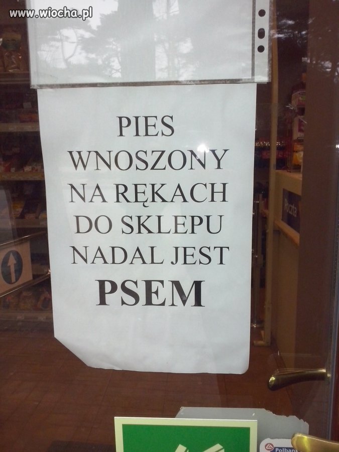 Nadal pies...
