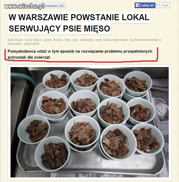 Czyżby to by była prawda, że...