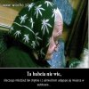 Babcia wzbudza chyba 