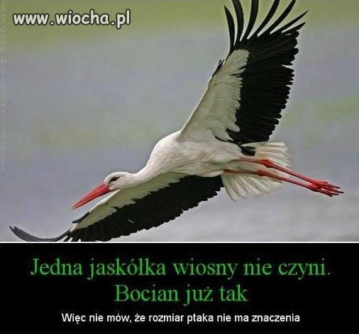 Coś w tym jest.
