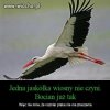 Coś w tym jest.
