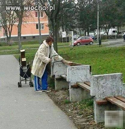 Zdobywanie drewna na opał?