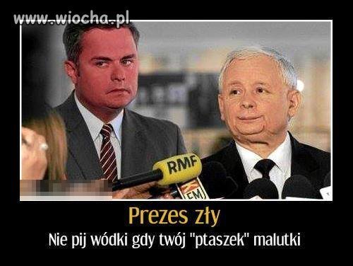 Mimo wszystko