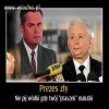 Mimo wszystko