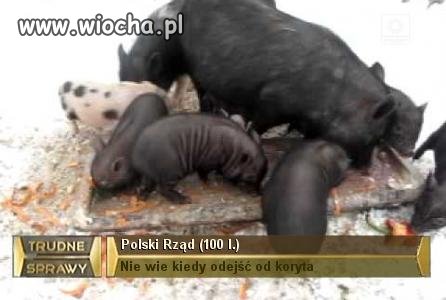 Nasz Rząd