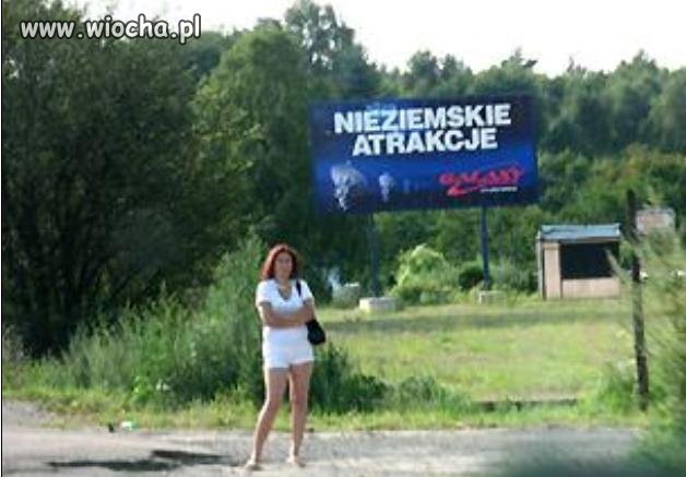 Przy trasie cię czekają...