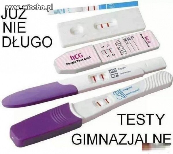 Testy gimnazjalne.