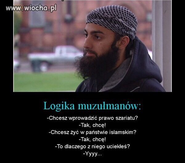 Logika muzułmanów.