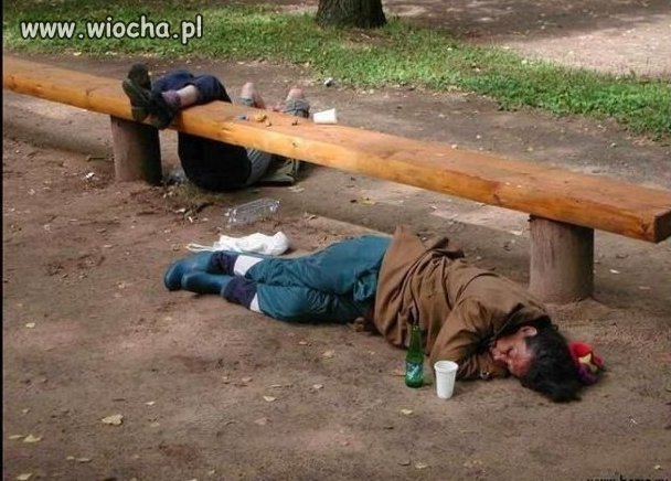 Impreza się udała...