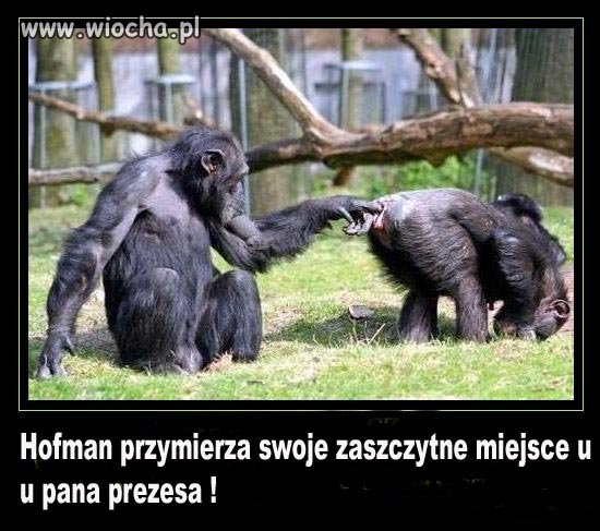 Biuro Rzecznika Prasowego