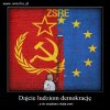 Prawda i tylko prawda...