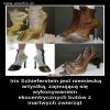 Stylowe buty.
