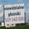 Postęp