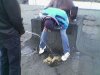 Prawdziwych przyjaciół poznaje się w biedzie
