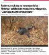 Radny sadysta