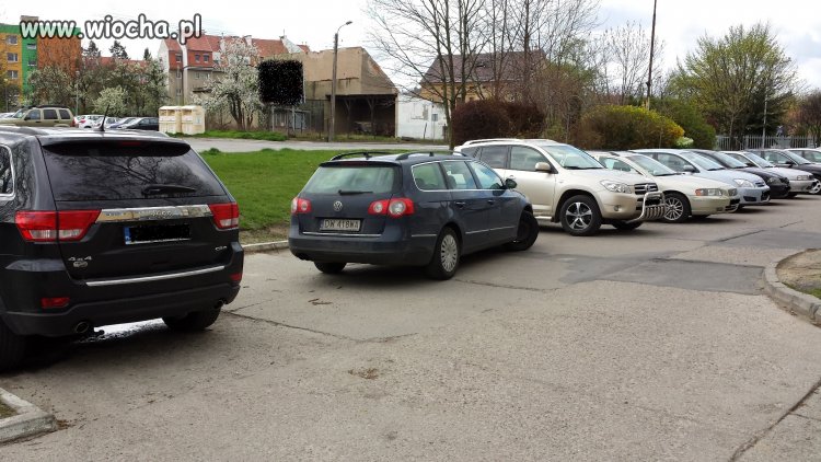 Mistrz parkowania