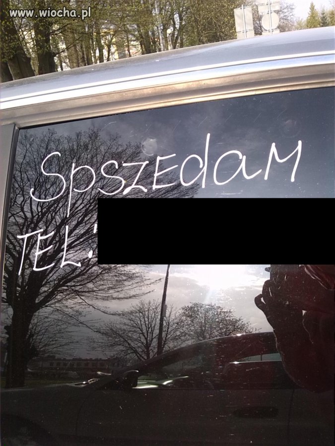 Mistrz ortografii