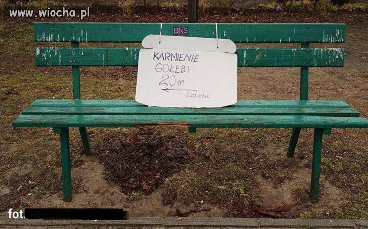 Parkowa ławka 