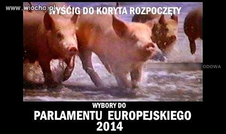 Wybory 2014 do PE