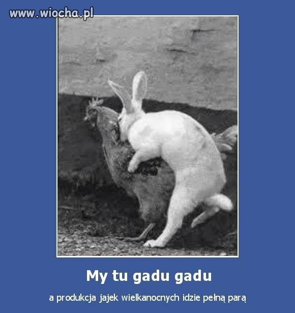 My tu gadu gadu