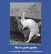 My tu gadu gadu