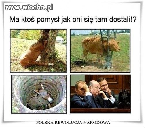 Dobre pytanie...