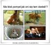 Dobre pytanie...