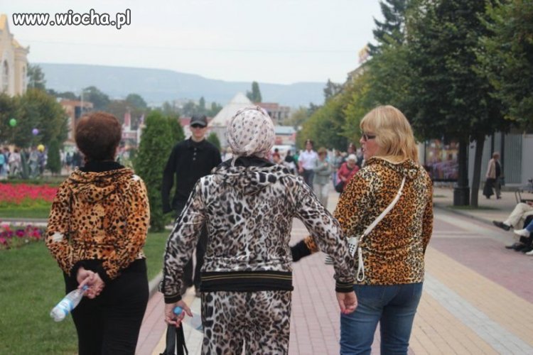 Ociapkowałem 