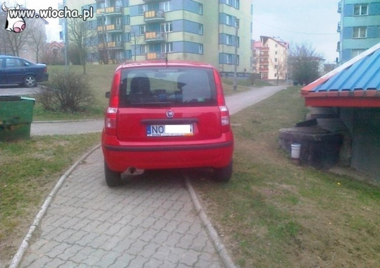 Święta krowa