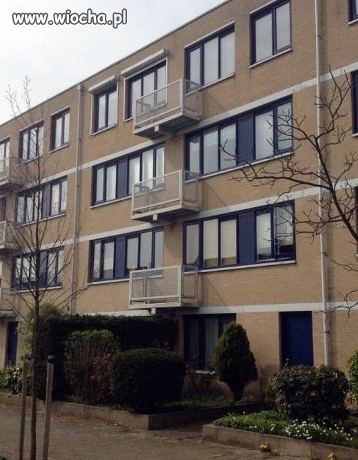 Majster/architekt skończył edukcaję na podstawówce.