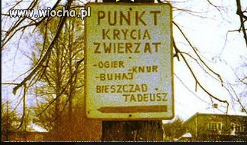 Dobry