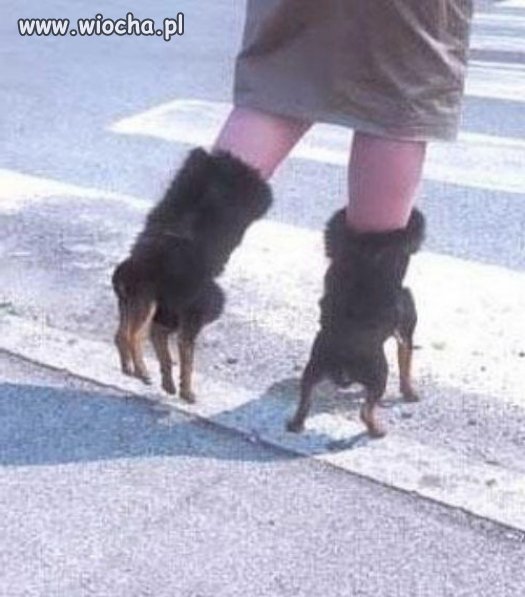 Stylowe buty na zime