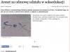Seksedukacja